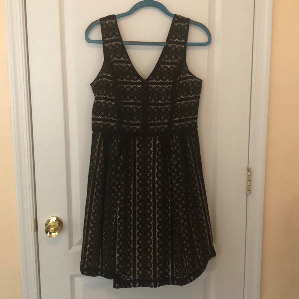 Loft Dress Black and Tan Size 6 - Picture 1 of 4